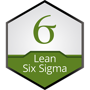 Six Sigma GB Certification Logo